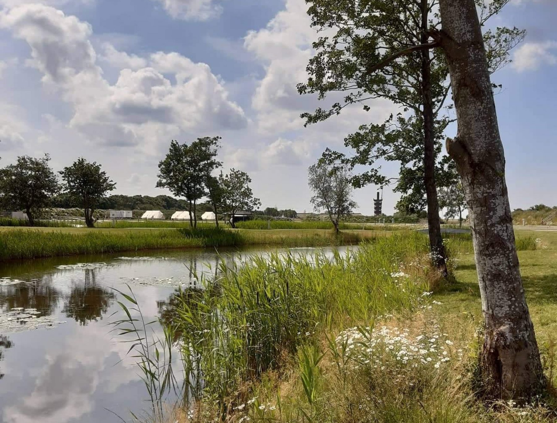 Marsk Camp — Photo 3