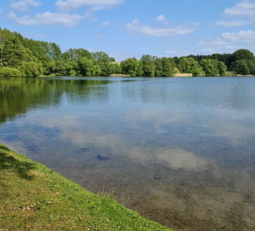 George Glamp am Belauer See