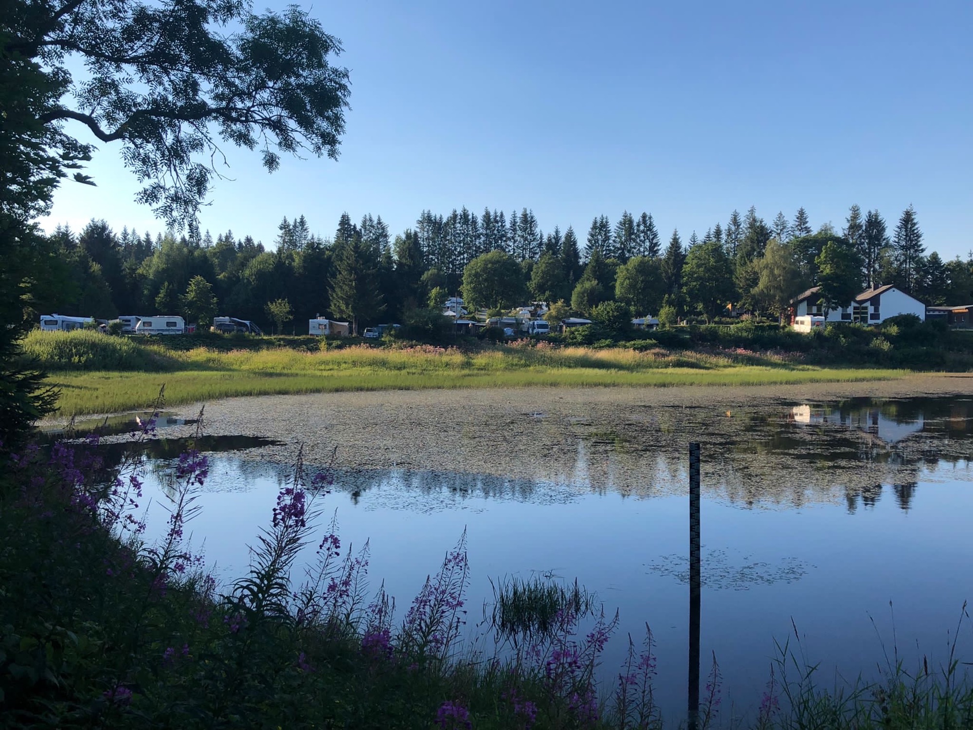 Wildwood Camping Harz — Photo 6