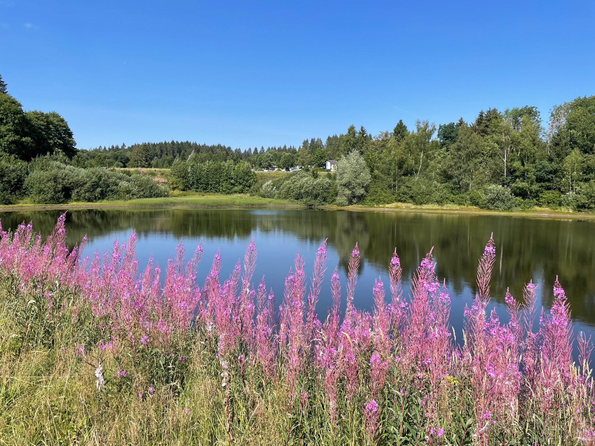 Wildwood Camping Harz — Photo 2