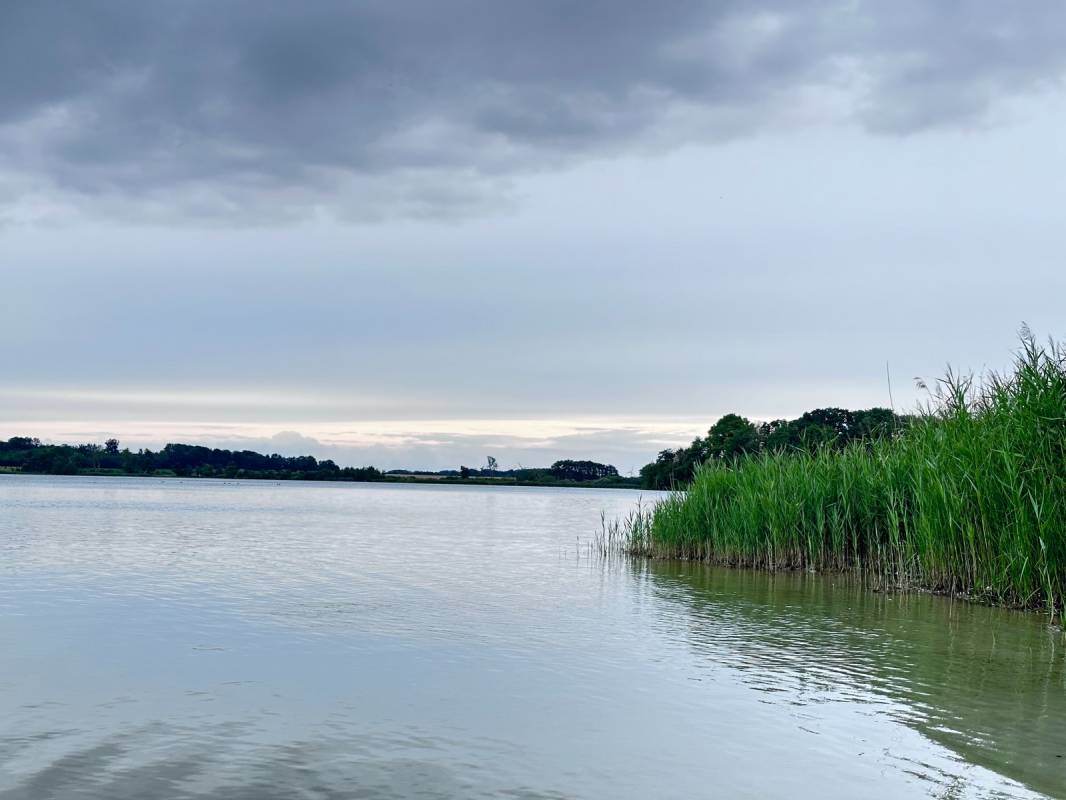 Maribo Sø Camping — Photo 5