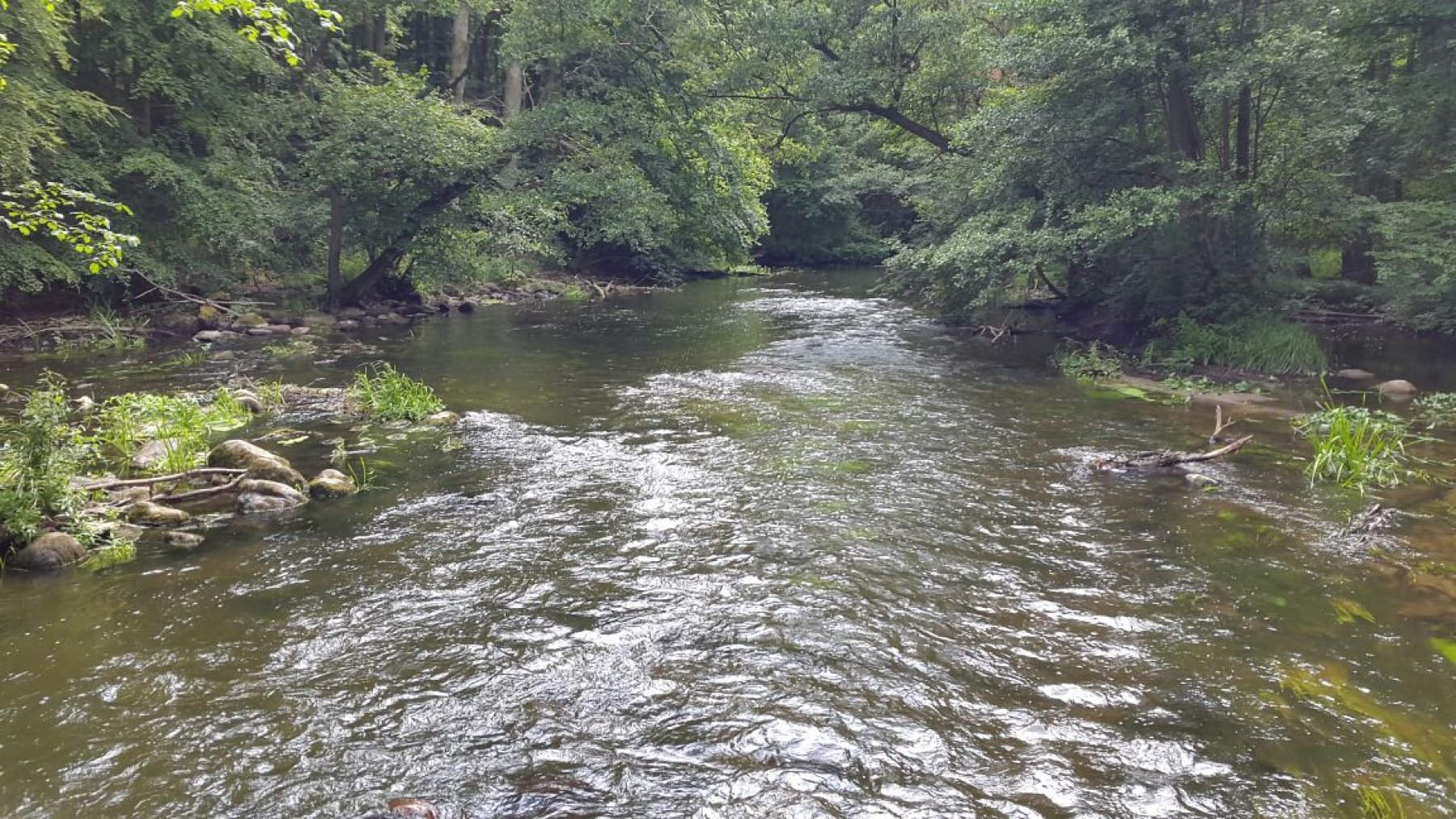 Naturdorf Eickhof — Campingplass in Warnow