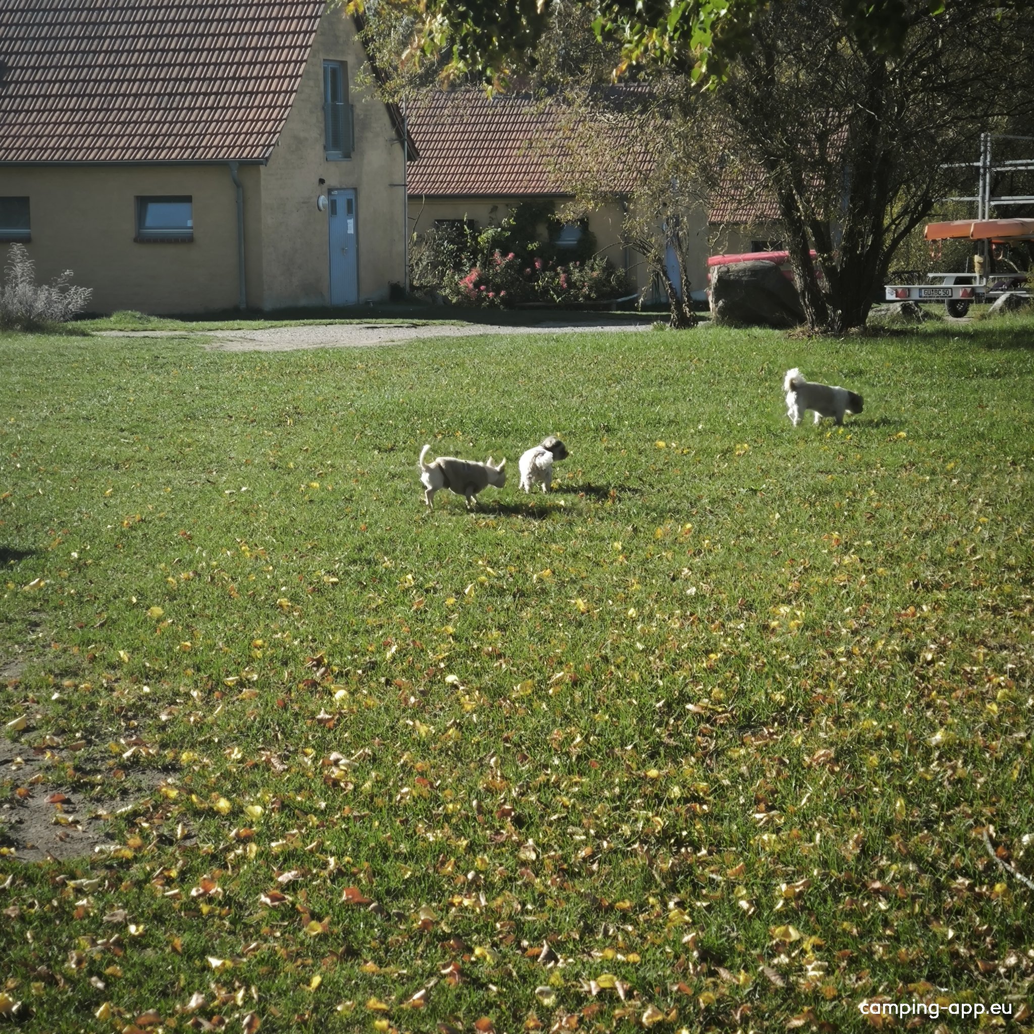 Naturdorf Eickhof — Photo 5