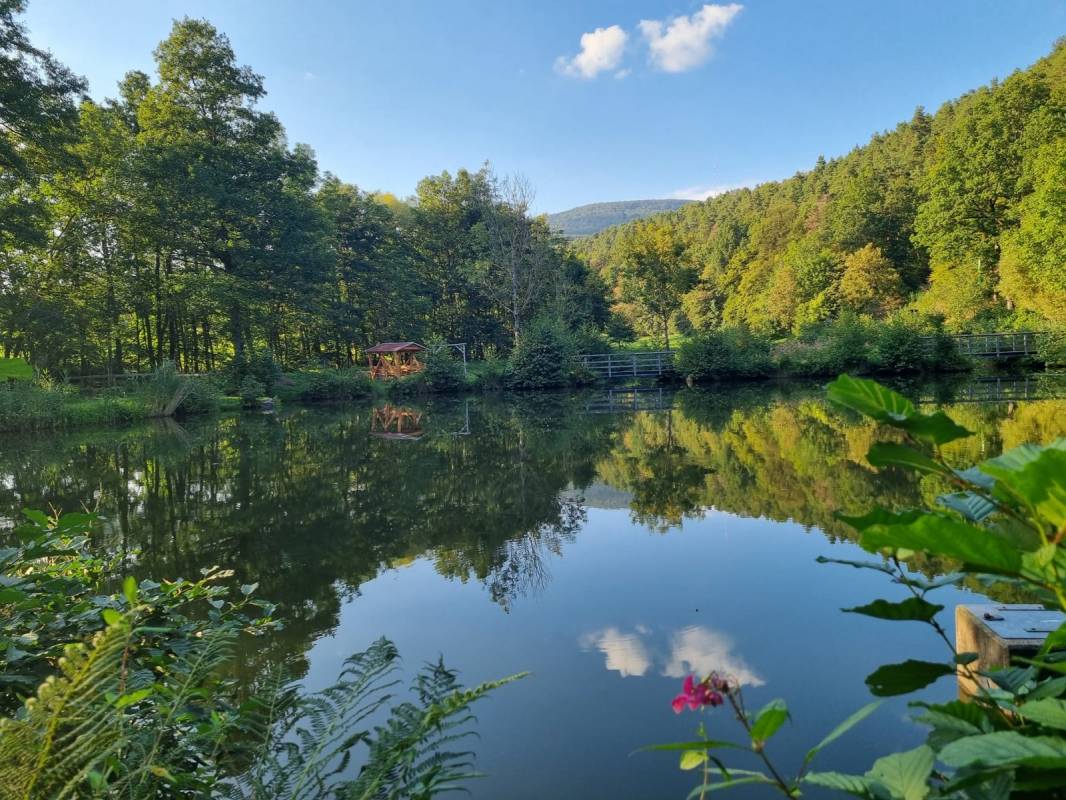 Camping Waldberg — Photo 6