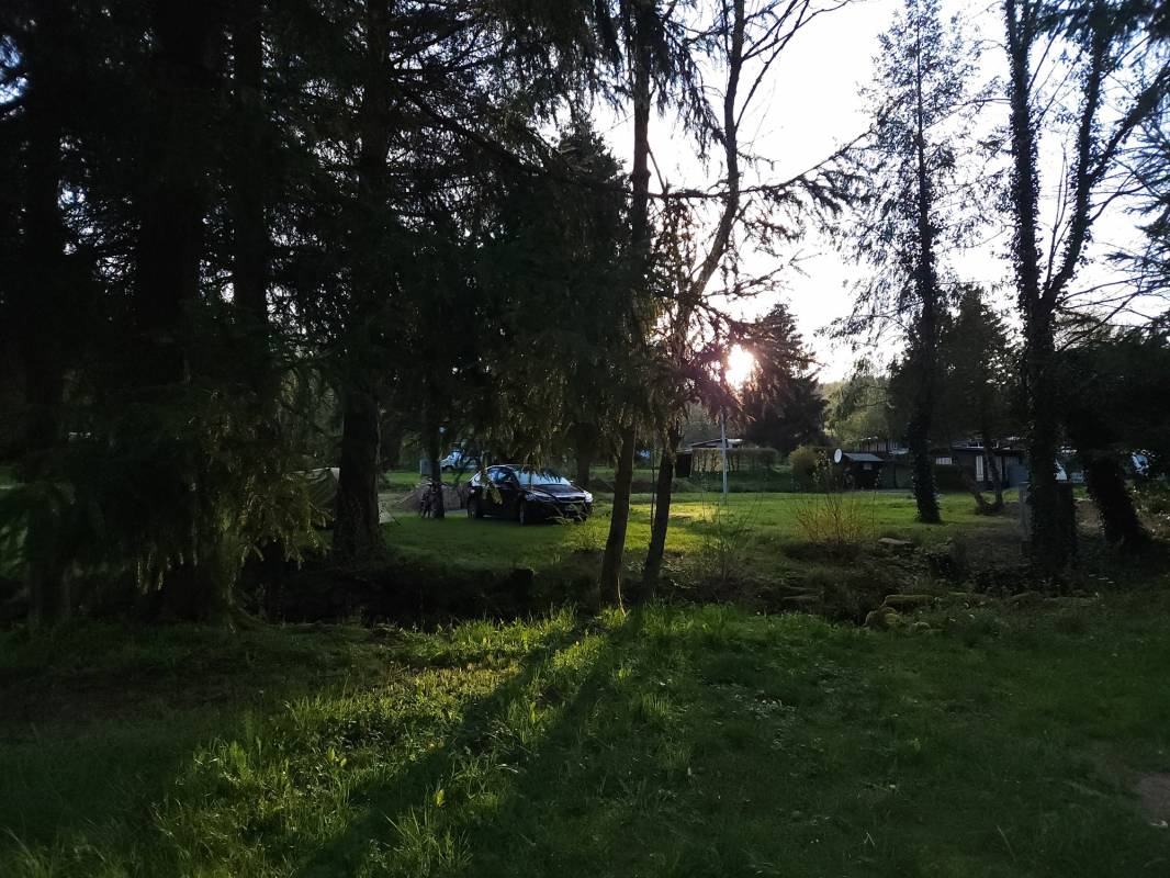 Camping Waldberg — Photo 3