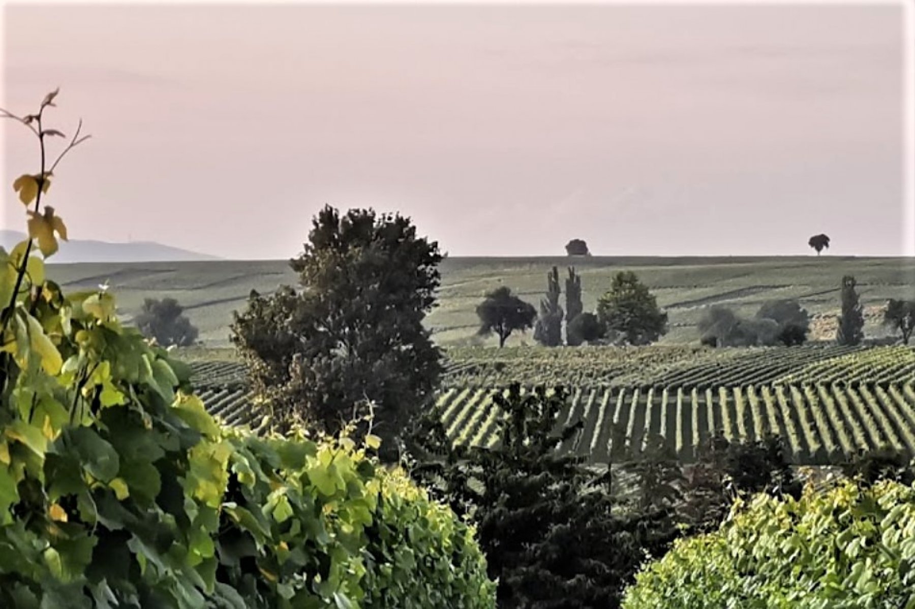 Camping im Klingbachtal — Photo 4