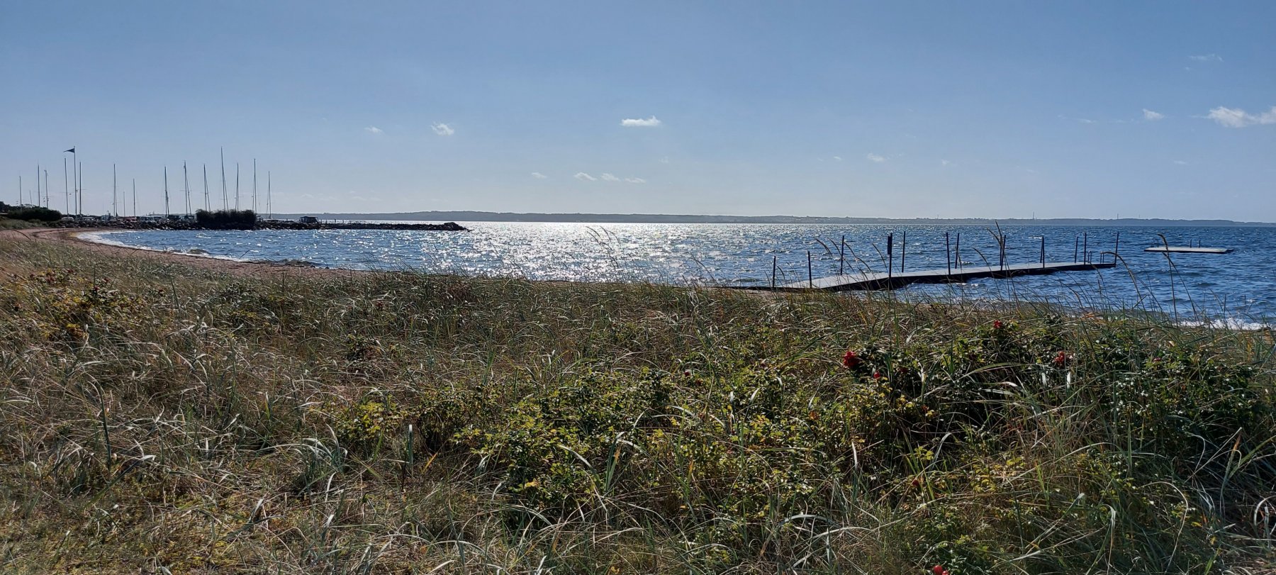 Rosenvold — Photo 4