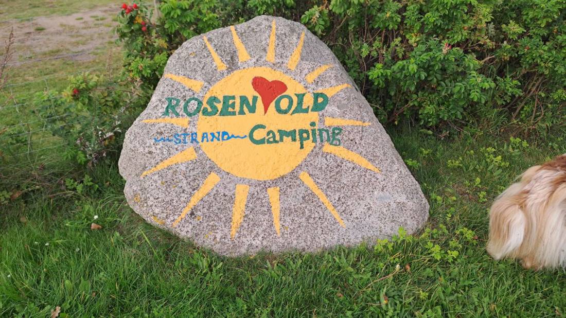 Rosenvold — Photo 5