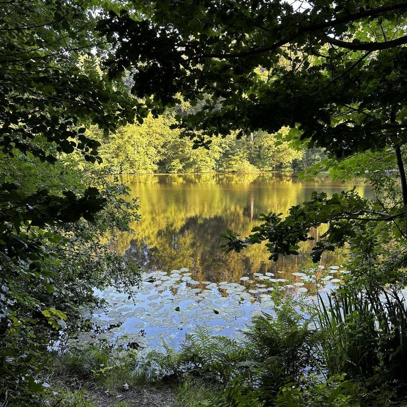 BergseeCamp — Photo 4