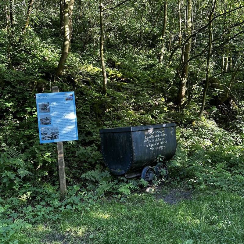 BergseeCamp — Photo 3