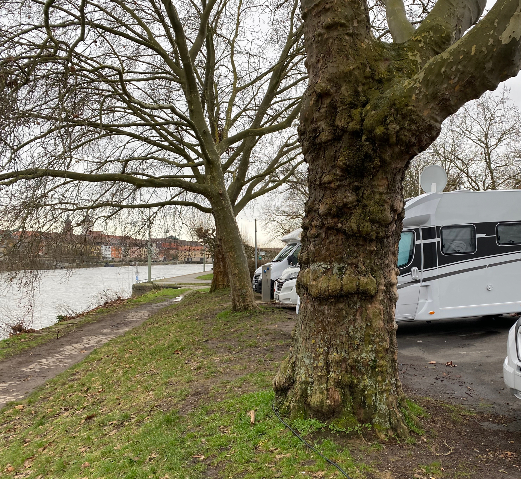 Viehmarkplatz / Friedensbrücke Würzburg — Photo 3