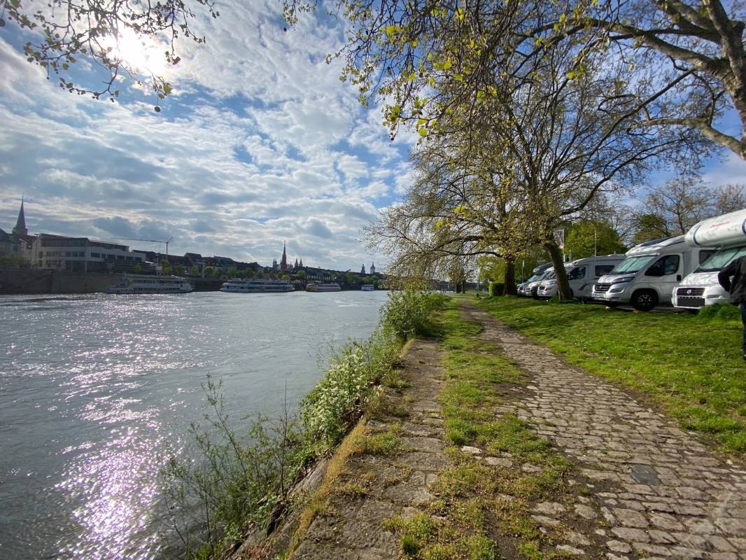 Viehmarkplatz / Friedensbrücke Würzburg — Photo 5