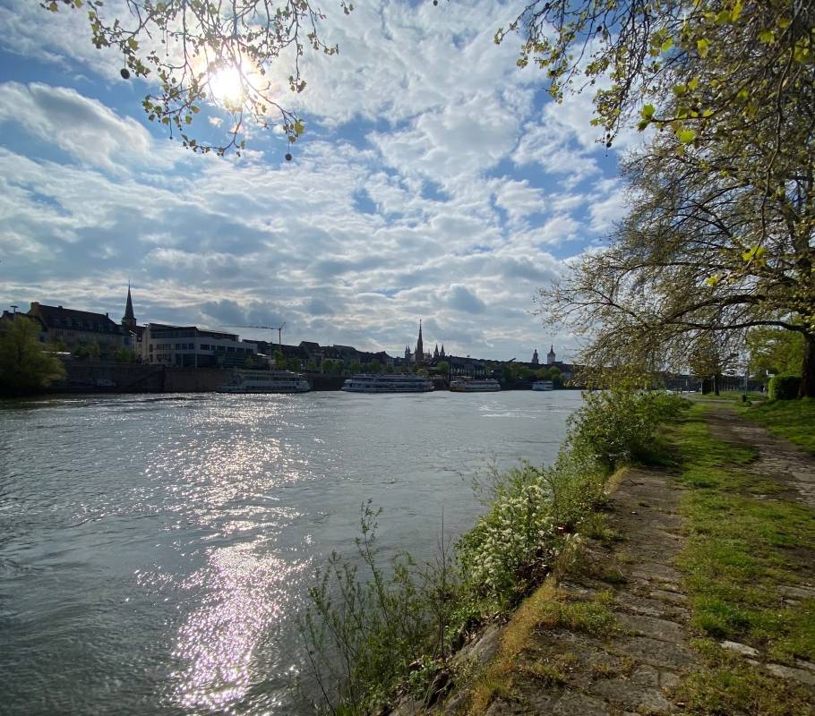 Viehmarkplatz / Friedensbrücke Würzburg — Photo 6
