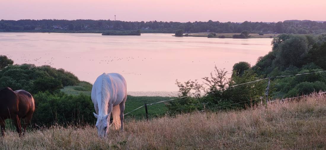 Camping Gläserkoppel am Lanker See — Photo 3