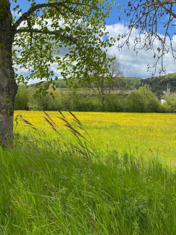 Bahnhof Blumberg-Zollhaus — Photo 3