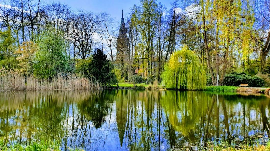 Parkplatz Stadtpark — Photo 2