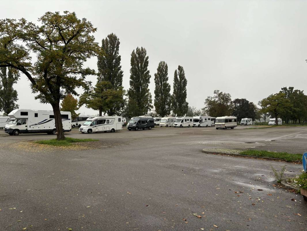 Stellplatz am Rheinufer Breisach am Rhein — Photo 5