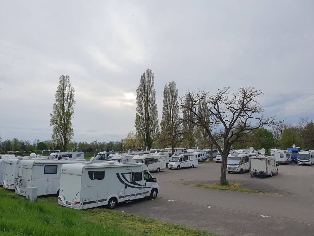 Stellplatz am Rheinufer Breisach am Rhein — Photo 2