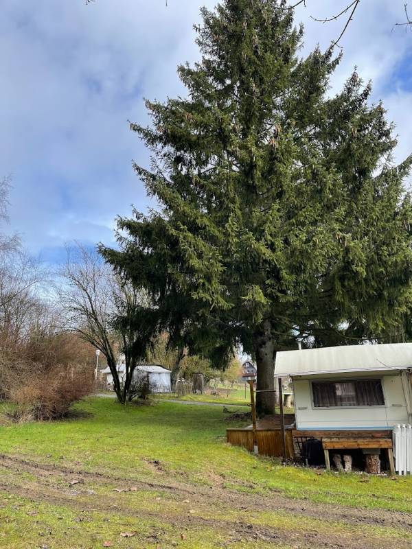 Aurora-Camping — Photo 3