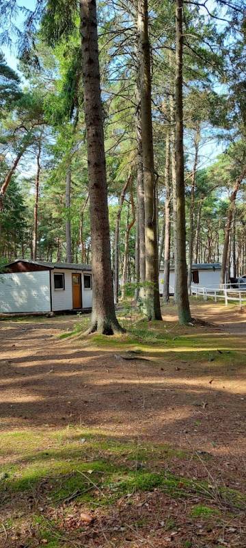 Stellplatz MC Burgstädt Dranske — Photo 3