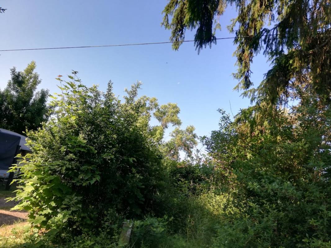 Camping Ochsenbusch Park — Photo 2