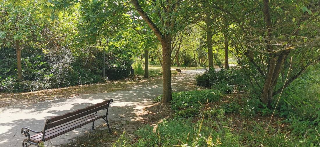 Stellplatz Bad Emstal