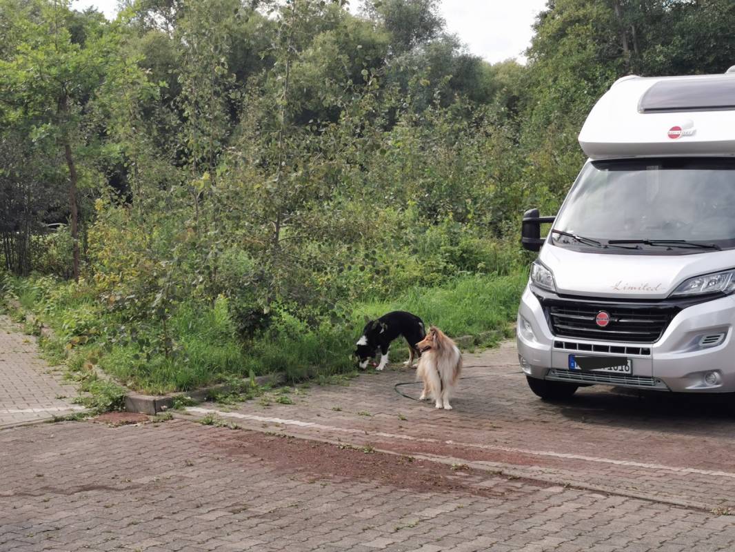 Stellplatz am Kurpark Bad Schwartau — Photo 6