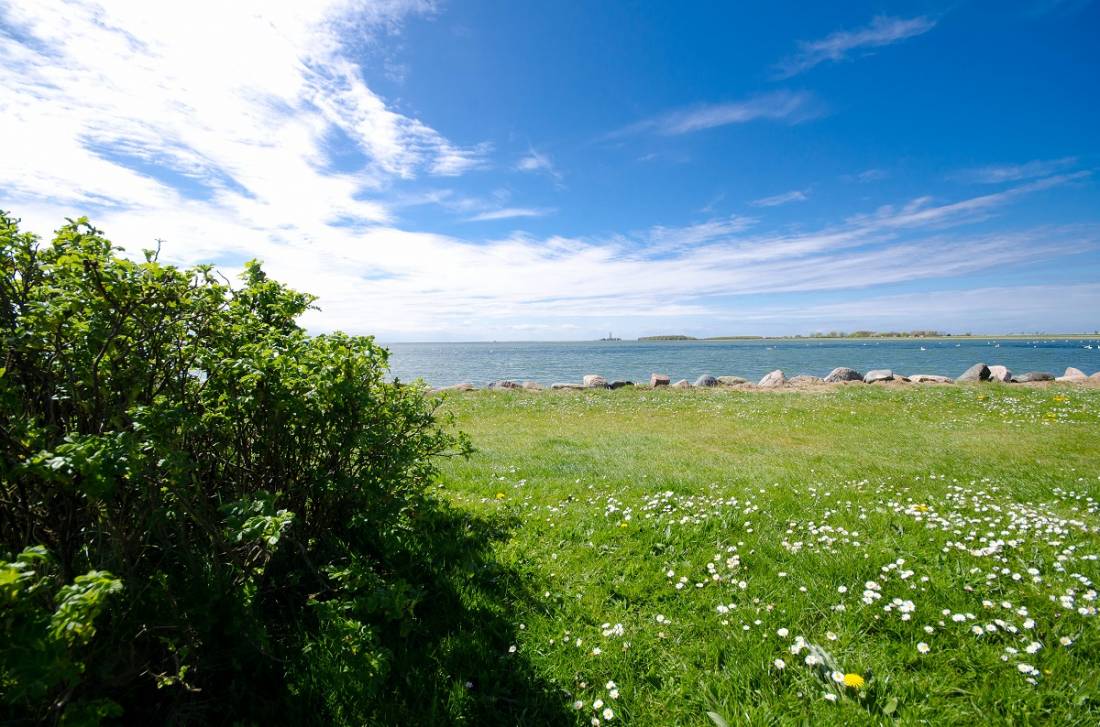 Wohnmobilstellplatz Scheel Orth Fehmarn — Photo 3