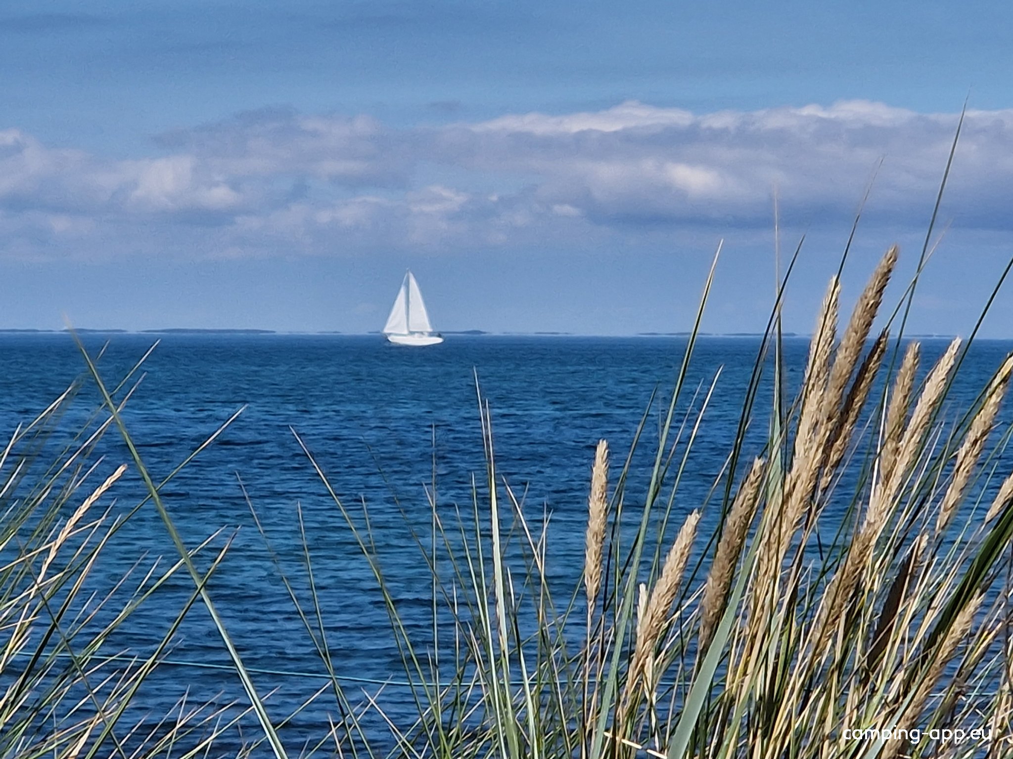 Stellplatz am Ahoi Camp Fehmarn — Photo 6