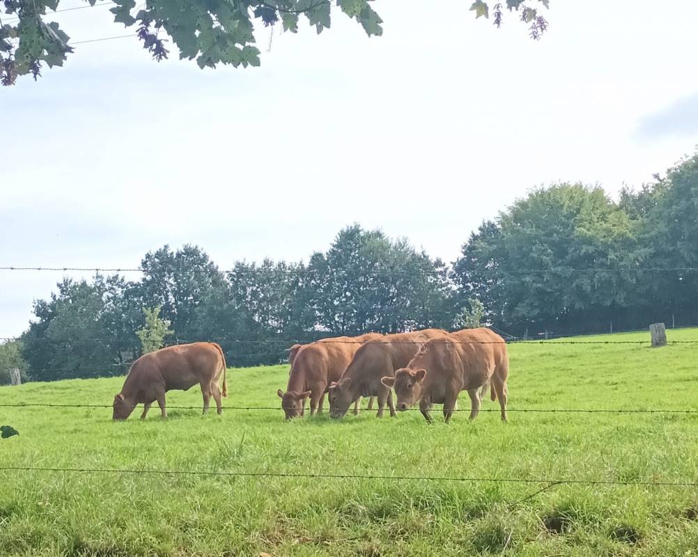 Campingpark Ohmbachsee