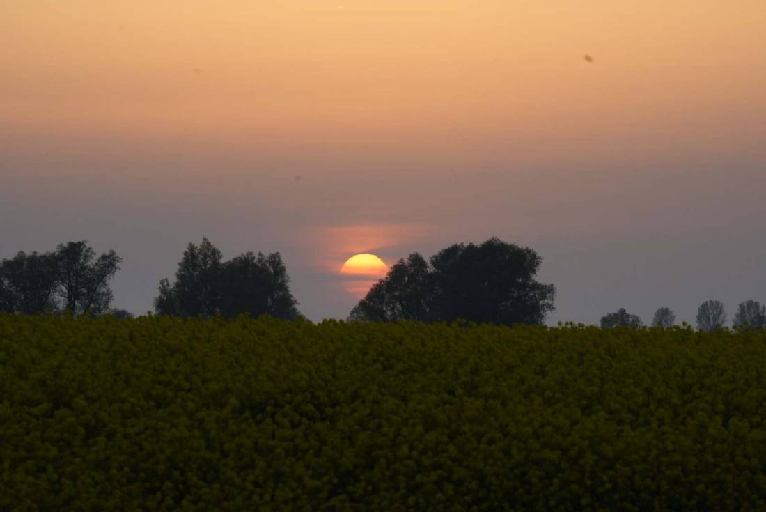 Naturcamp Zu den zwei Birken — Photo 6