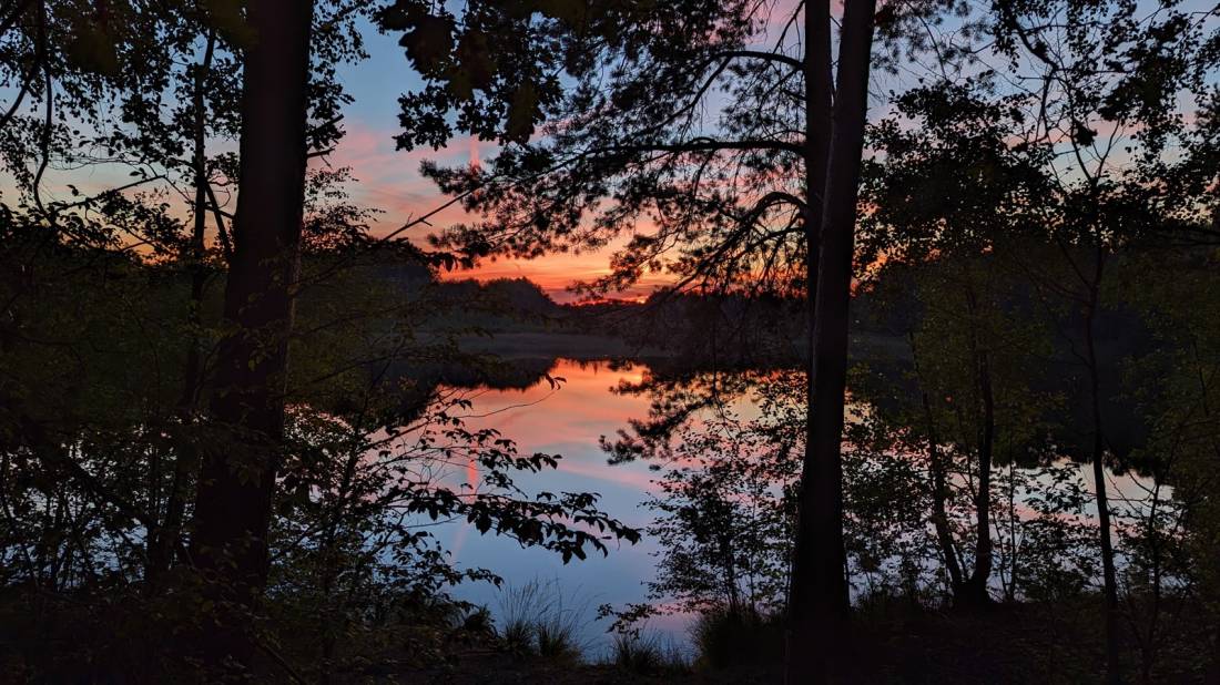 Wildwood Camping — Camping in Südheide