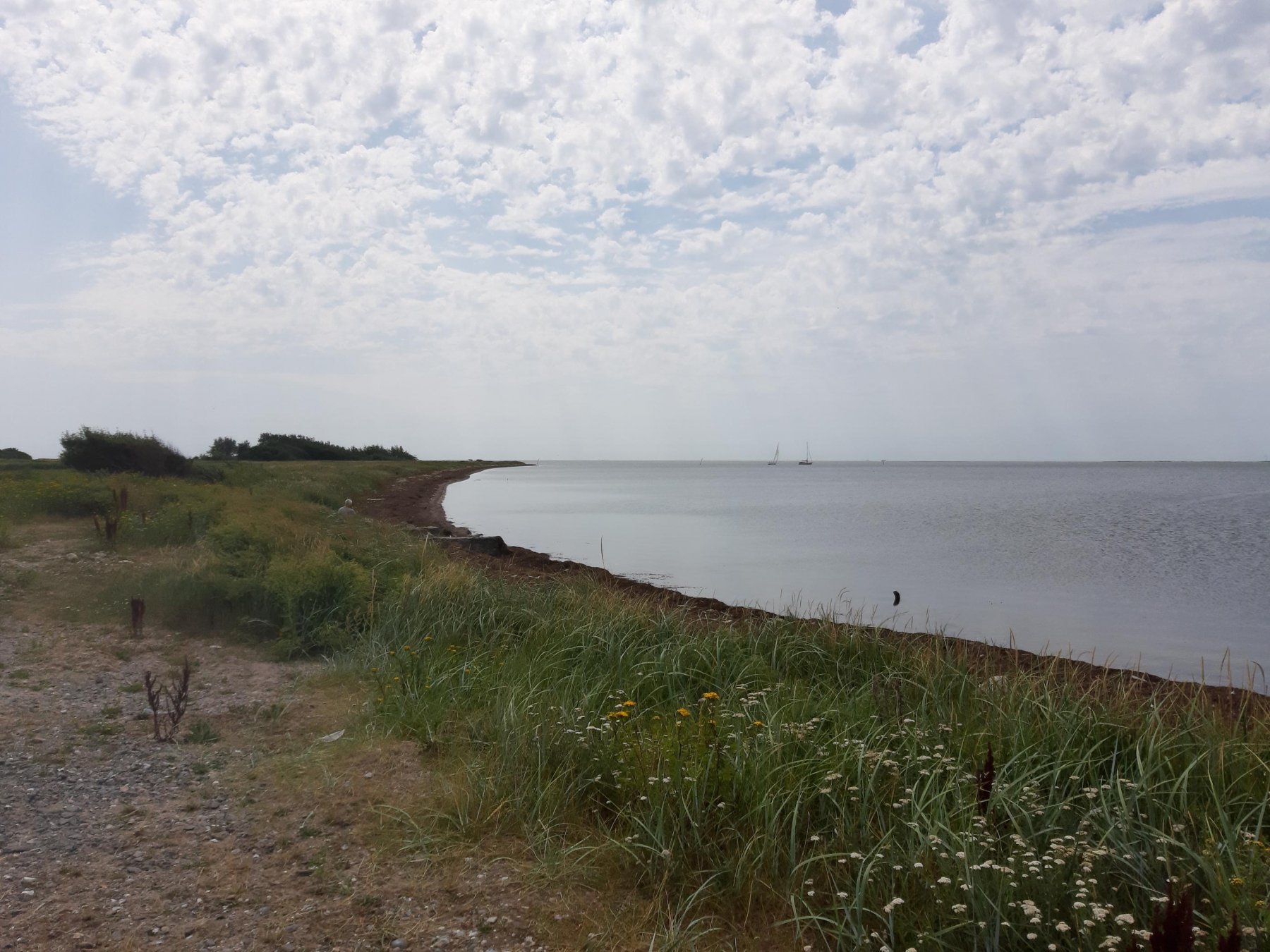 Gedser Lystbådehavn — Photo 2