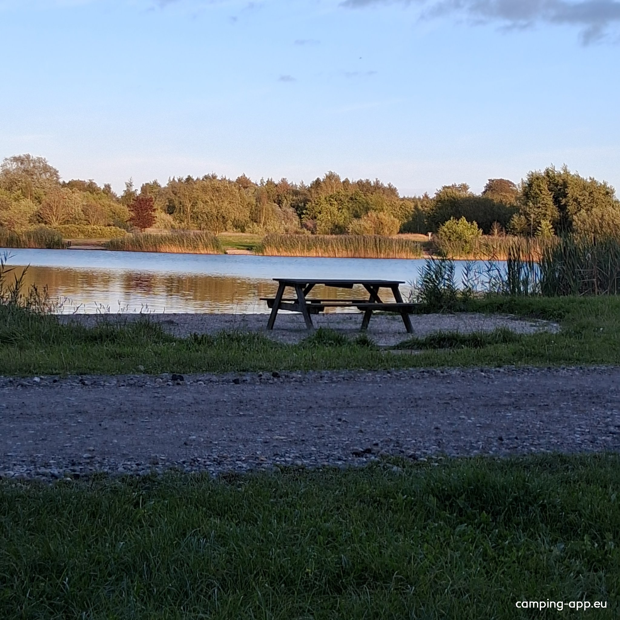 Stellplatz bei Aalbogaard Fischteiche Aarup — Photo 3