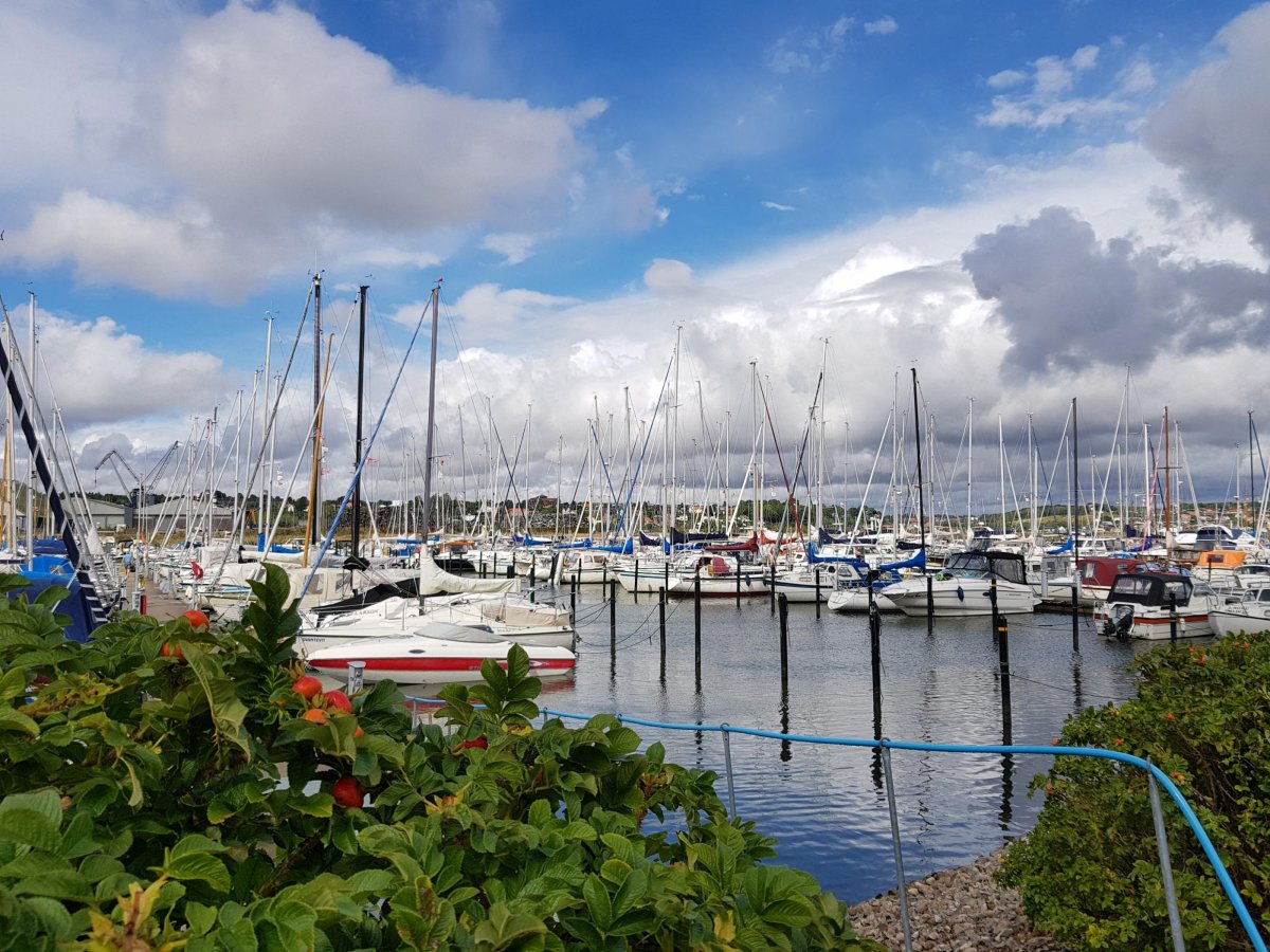 Stellplatz am Yachthafen Kolding — Photo 6