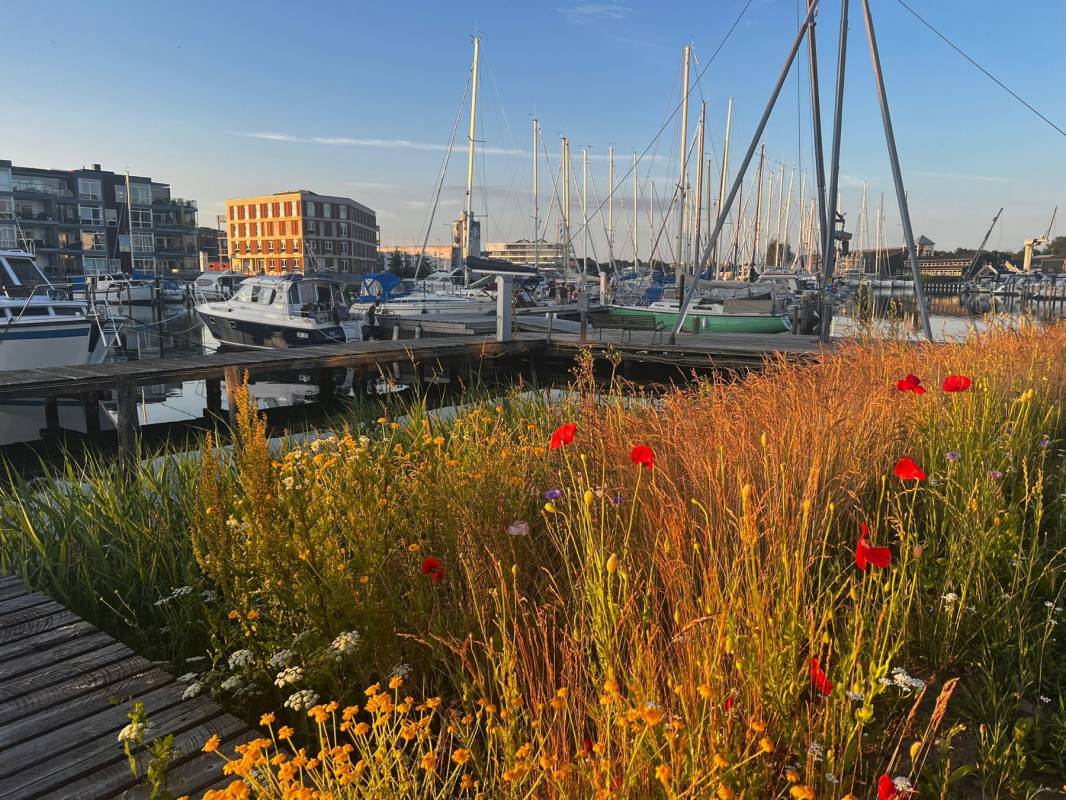 Stellplatz am Segelclub Haderslev — Motorhome pitch in Haderslev