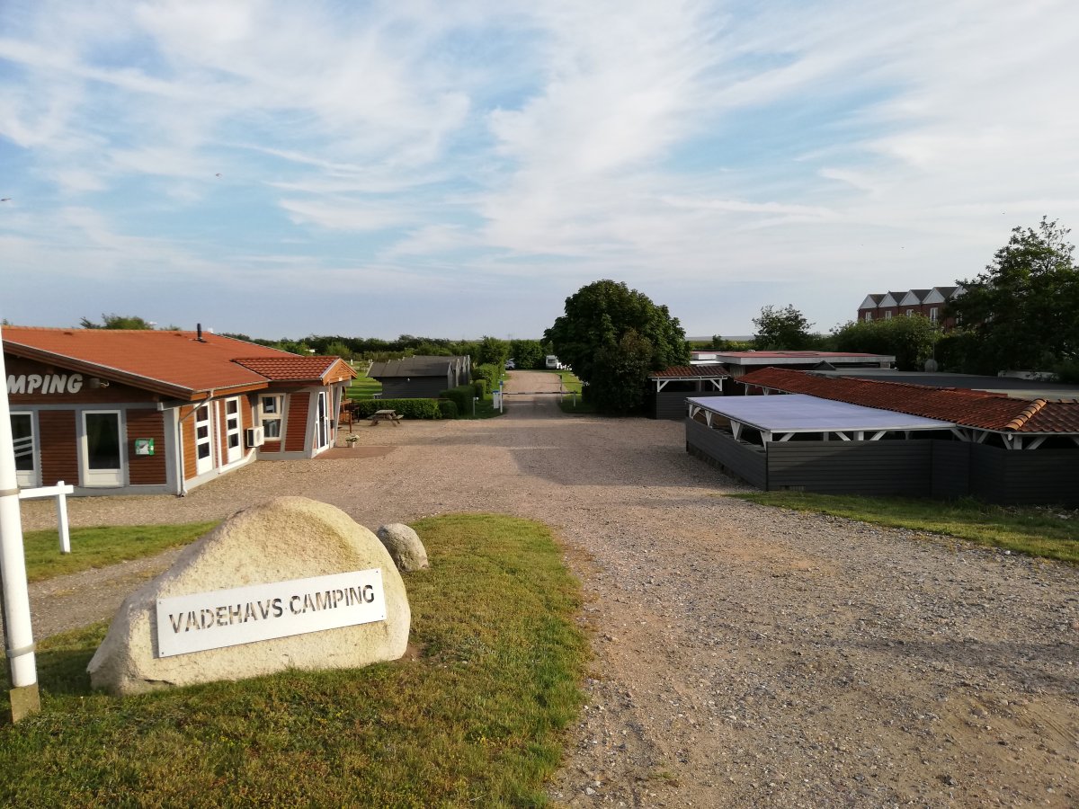 Vadehavs Camping — Photo 3