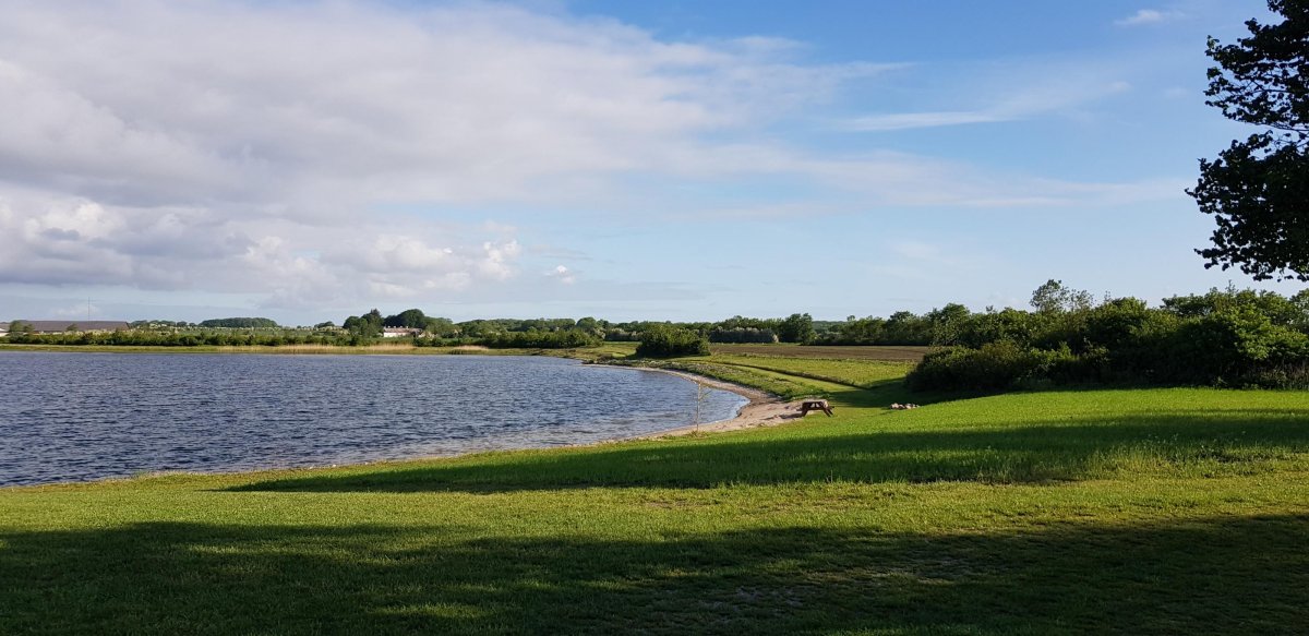 Stellplads Green — Photo 5