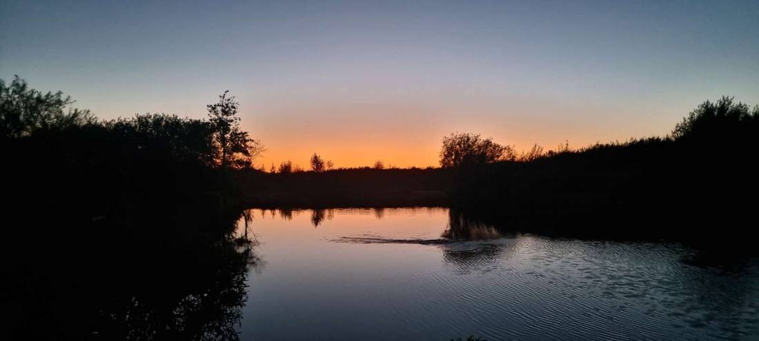 Storkesøen Ribe — Photo 2