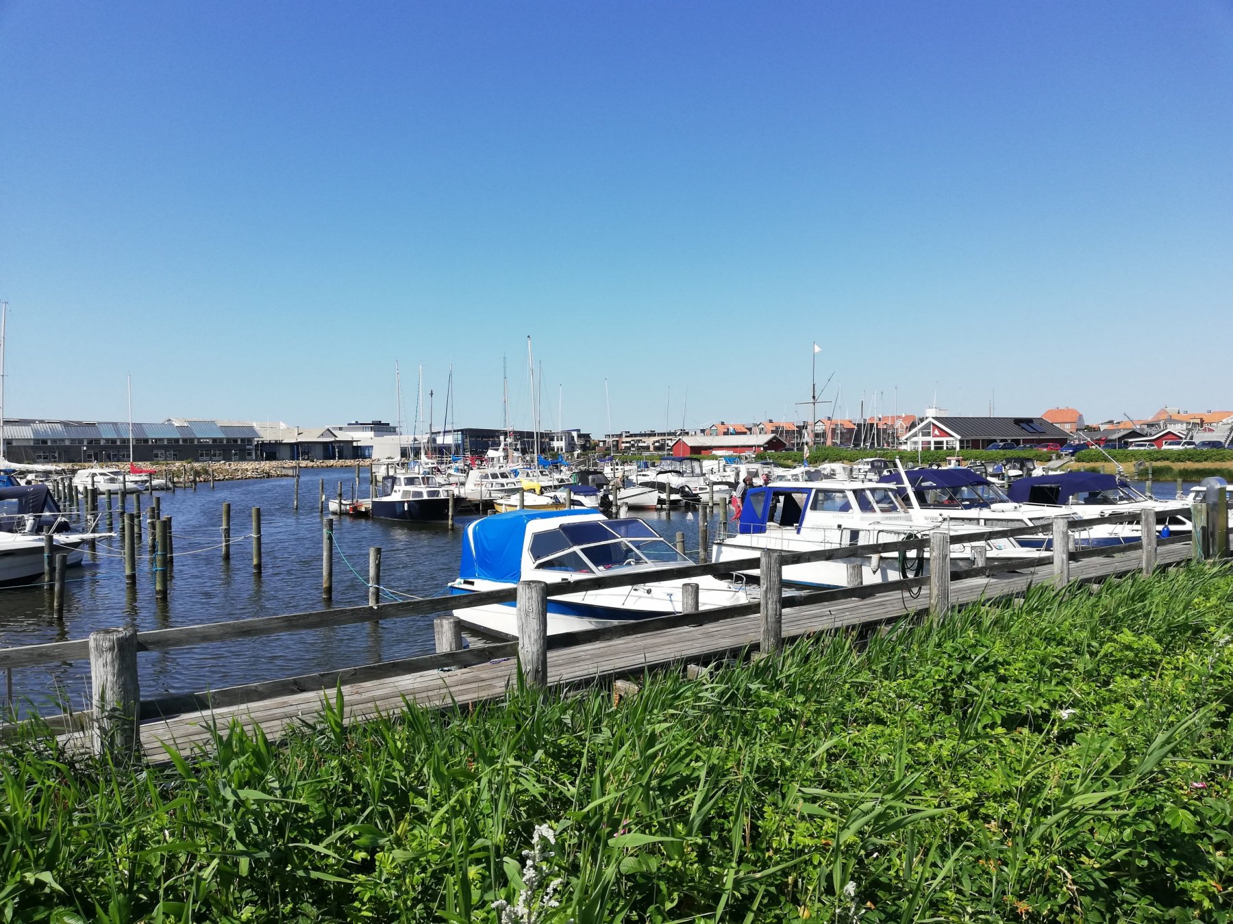 Stellplatz am Hafen Ringkøbing — Photo 3