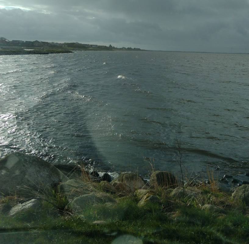 Stellplatz am Hafen Ringkøbing — Photo 5