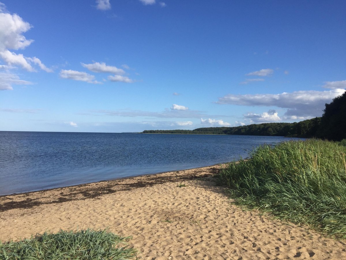 Stellplatz am Yachthafen Brejning — Photo 2