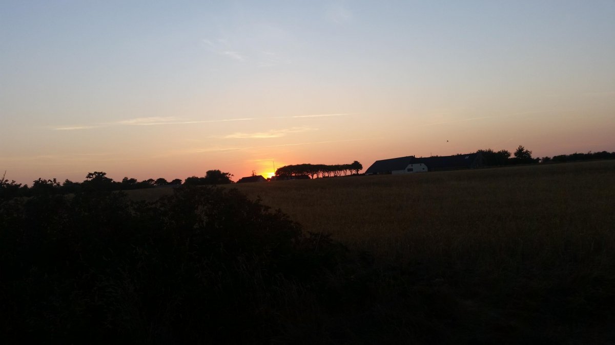 Stellplatz am Hafen Jegindø