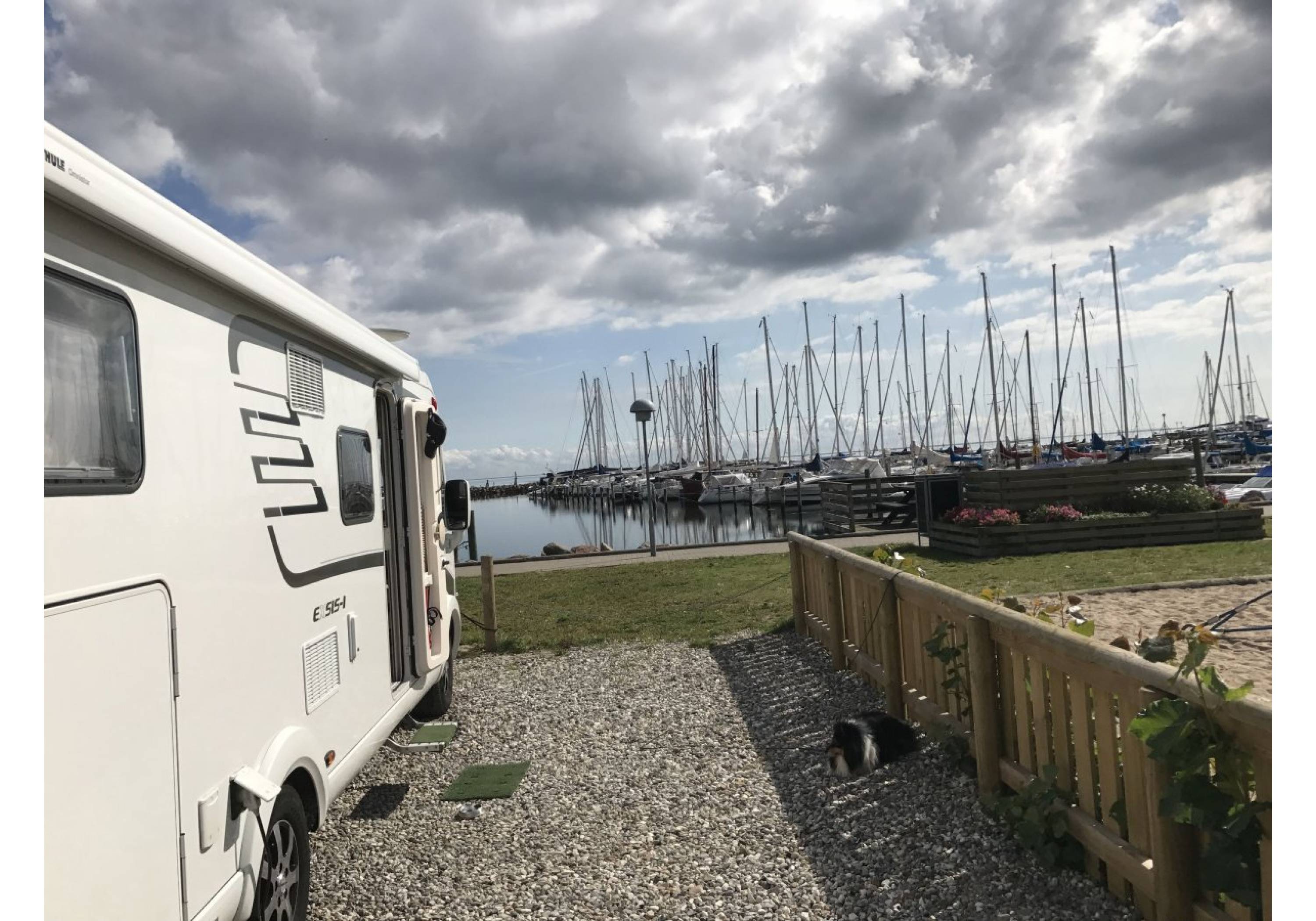 Marselisborg Hafen Aarhus