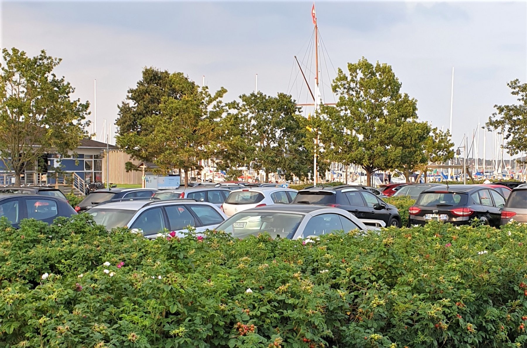 Stellplatz Yachthafen Horsens — Photo 4