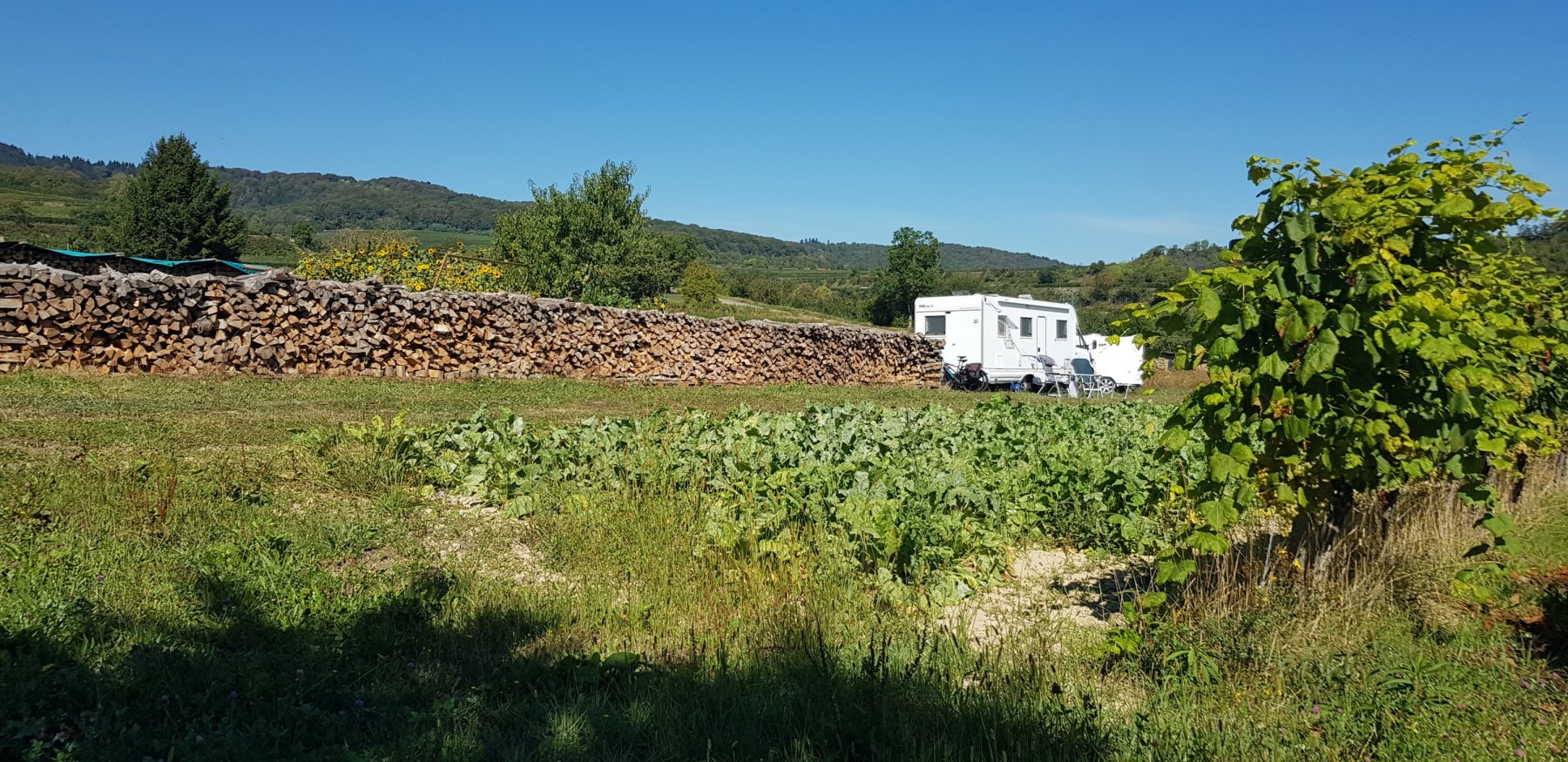 Stellplatz Ritters Weinstube Kenzingen