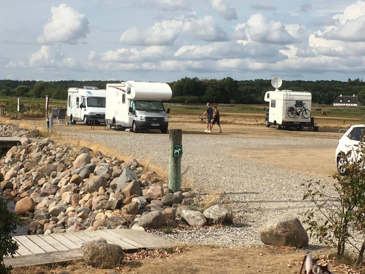 Hafen Faldsled — Photo 4