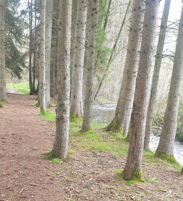 Campingplatz Sensweiler Mühle