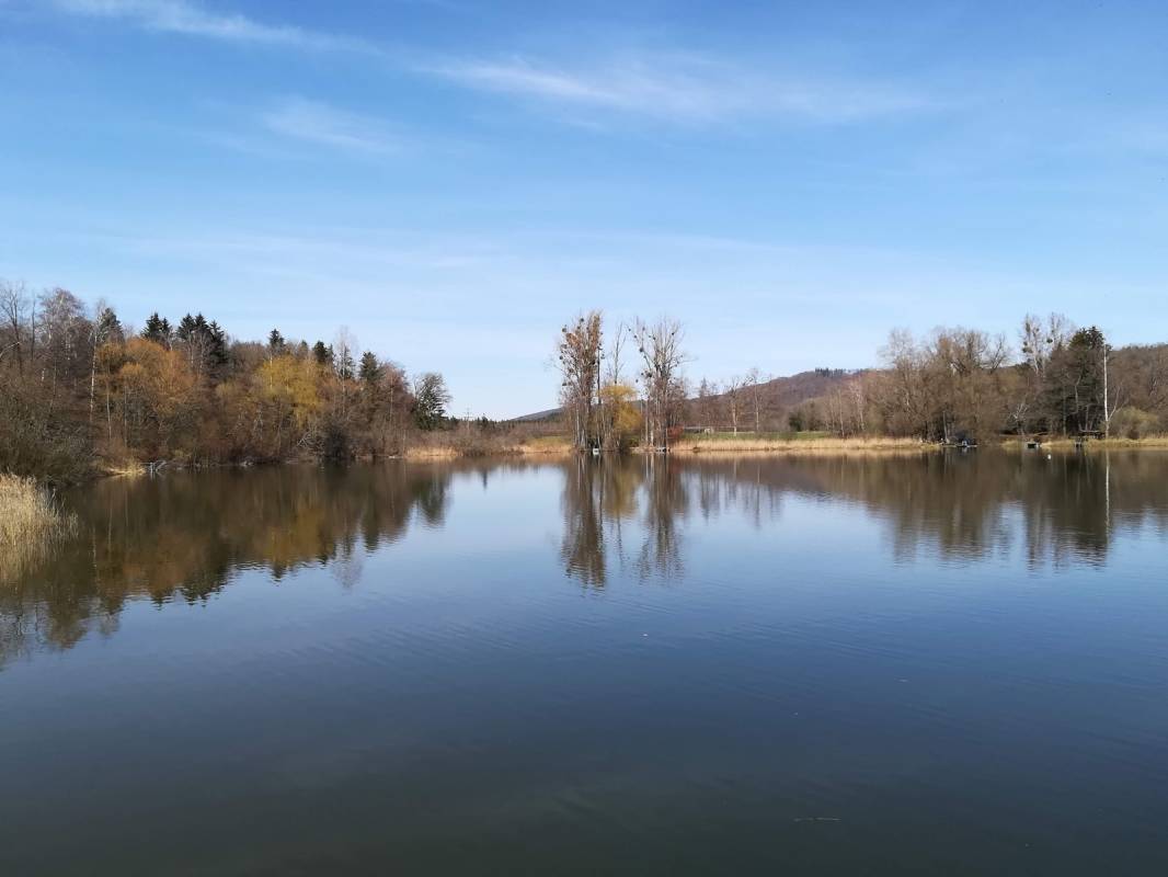 Campingplatz Böhringen